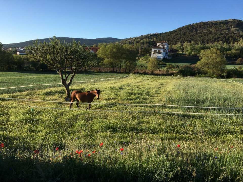 Hostal Restaurante San Millan Орихуела дел Тремедал Екстериор снимка